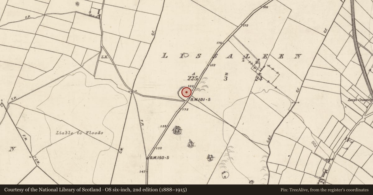 Ordnance Survey six-inch map, 2nd edition (1888–1915) covering the location of Children's burial ground, Lissaleen, County Galway, with a pin at the register's coordinates