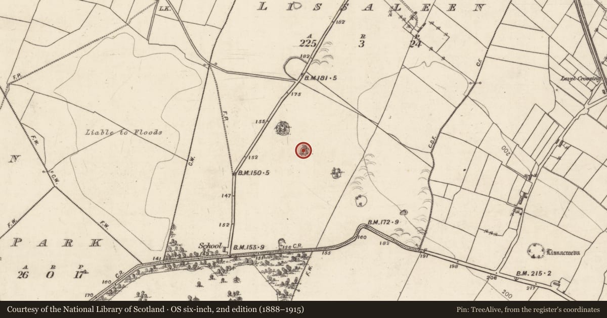 Ordnance Survey six-inch map, 2nd edition (1888–1915) covering the location of Designed landscape - tree-ring, Lissaleen, County Galway, with a pin at the register's coordinates