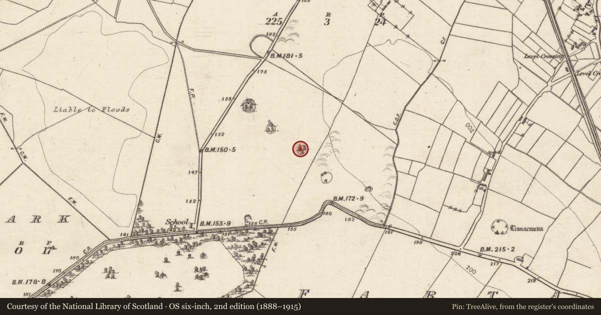 Ordnance Survey six-inch map, 2nd edition (1888–1915) covering the location of Designed landscape - tree-ring, Lissaleen, County Galway, with a pin at the register's coordinates