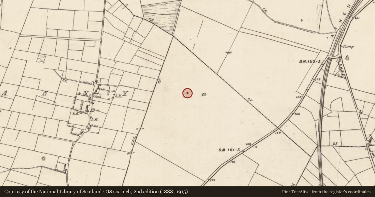 Ordnance Survey six-inch map, 2nd edition (1888–1915) covering the location of Enclosure, Lissaleen, County Galway, with a pin at the register's coordinates