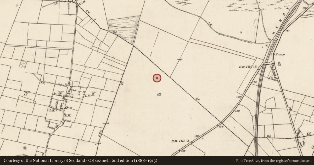 Ordnance Survey six-inch map, 2nd edition (1888–1915) covering the location of Enclosure, Lissaleen, County Galway, with a pin at the register's coordinates