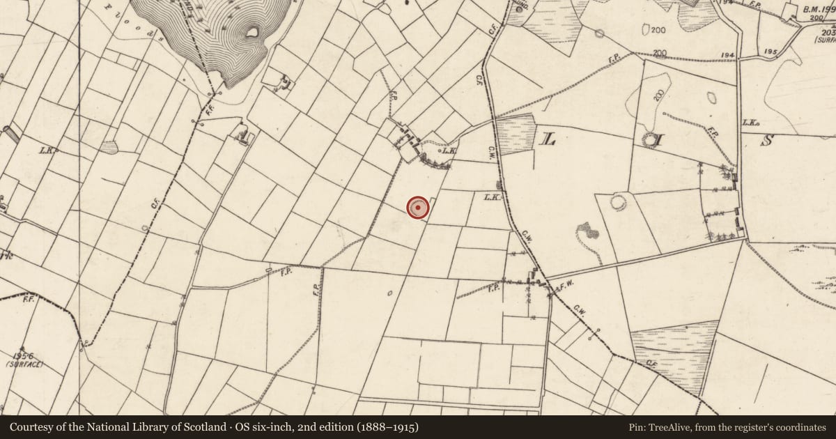 Ordnance Survey six-inch map, 2nd edition (1888–1915) covering the location of Ringfort - rath, Lissananny, County Galway, with a pin at the register's coordinates