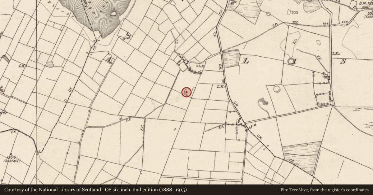Ordnance Survey six-inch map, 2nd edition (1888–1915) covering the location of Souterrain, Lissananny, County Galway, with a pin at the register's coordinates