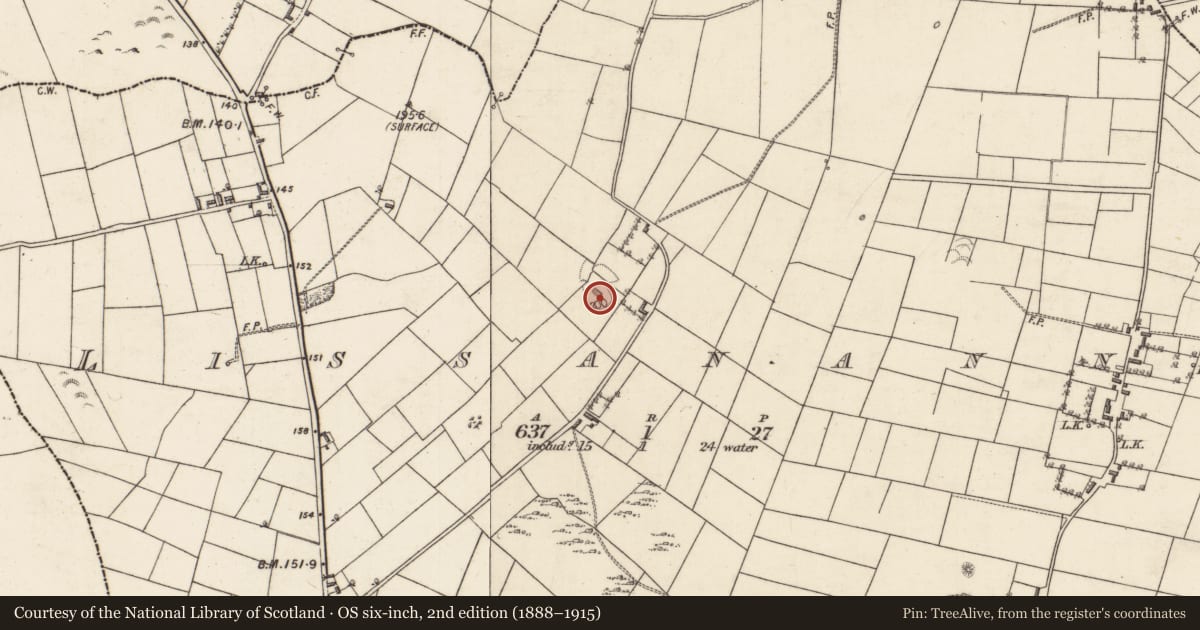 Ordnance Survey six-inch map, 2nd edition (1888–1915) covering the location of Ringfort - rath, Lissananny, County Galway, with a pin at the register's coordinates