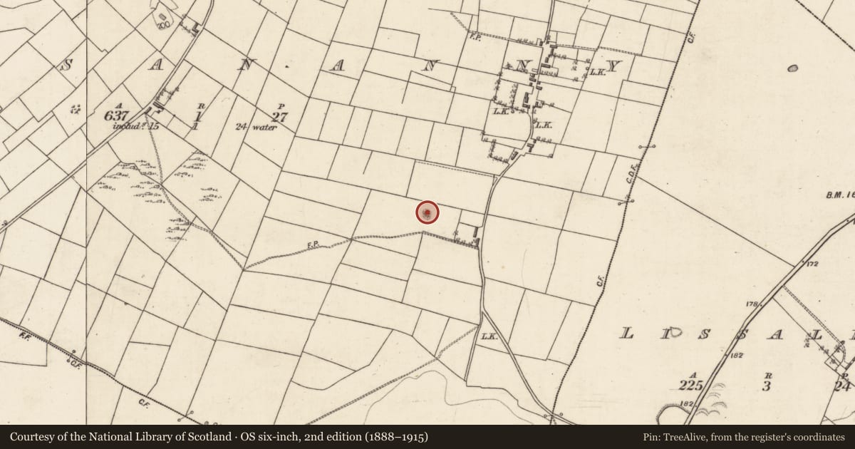 Ordnance Survey six-inch map, 2nd edition (1888–1915) covering the location of Barrow - unclassified, Lissananny, County Galway, with a pin at the register's coordinates