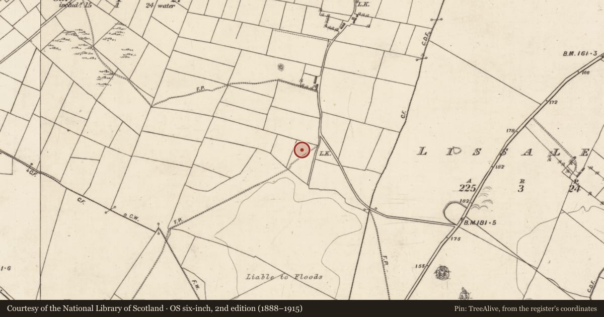Ordnance Survey six-inch map, 2nd edition (1888–1915) covering the location of Souterrain, Lissananny, County Galway, with a pin at the register's coordinates