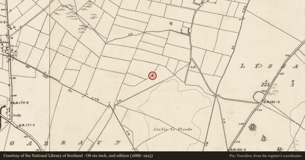 Ordnance Survey six-inch map, 2nd edition (1888–1915) covering the location of Enclosure, Lissananny, County Galway, with a pin at the register's coordinates