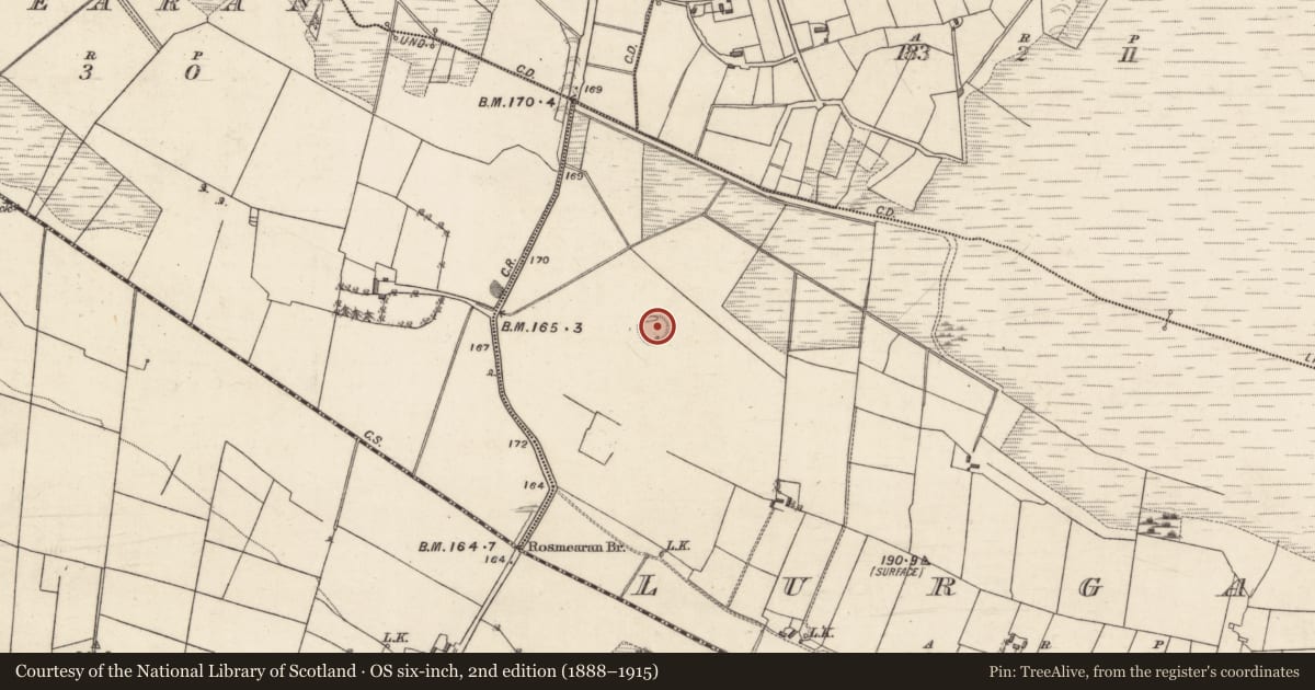 Ordnance Survey six-inch map, 2nd edition (1888–1915) covering the location of Ringfort - rath, Lurgan, County Galway, with a pin at the register's coordinates