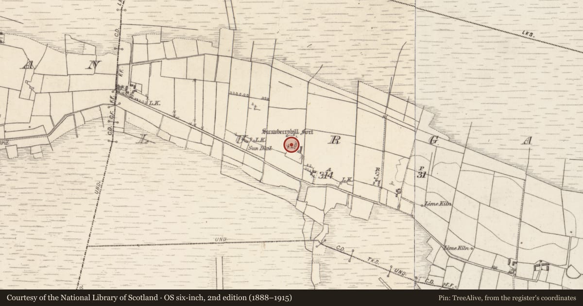 Ordnance Survey six-inch map, 2nd edition (1888–1915) covering the location of Ringfort - unclassified, Lurgan, County Galway, with a pin at the register's coordinates