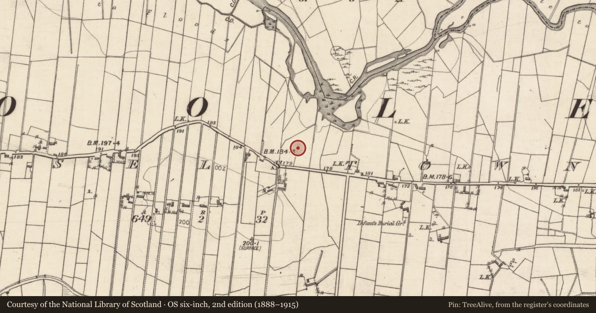 Ordnance Survey six-inch map, 2nd edition (1888–1915) covering the location of Ringfort - rath, Russelstown, County Galway, with a pin at the register's coordinates