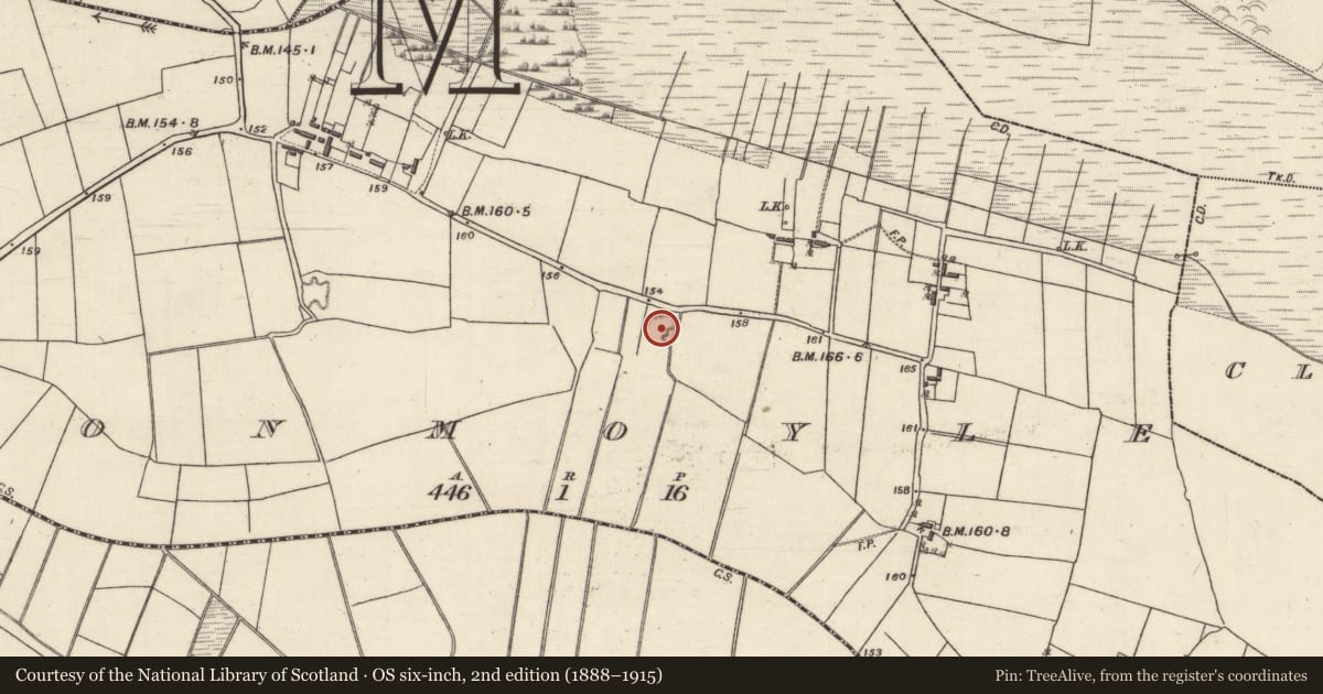 Ordnance Survey six-inch map, 2nd edition (1888–1915) covering the location of Ringfort - rath, Tonmoyle, County Galway, with a pin at the register's coordinates