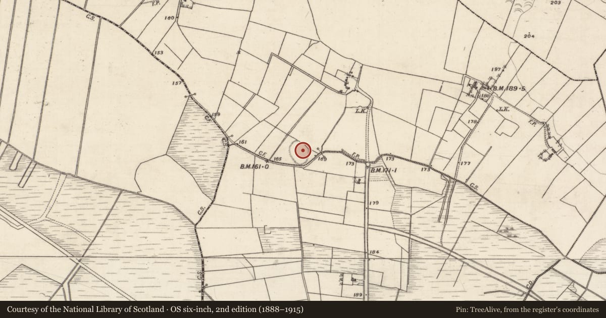 Ordnance Survey six-inch map, 2nd edition (1888–1915) covering the location of Ringfort - rath, Tonmoyle, County Galway, with a pin at the register's coordinates