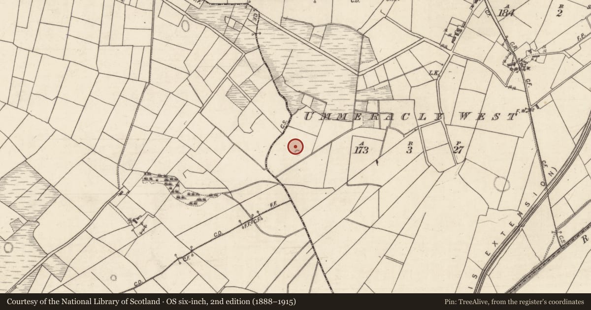 Ordnance Survey six-inch map, 2nd edition (1888–1915) covering the location of Earthwork, Ummeracly West, County Galway, with a pin at the register's coordinates