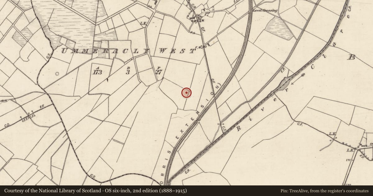 Ordnance Survey six-inch map, 2nd edition (1888–1915) covering the location of Ringfort - rath, Ummeracly West, County Galway, with a pin at the register's coordinates