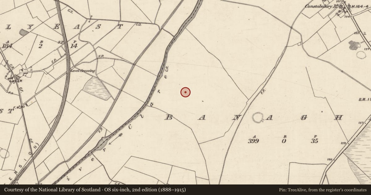 Ordnance Survey six-inch map, 2nd edition (1888–1915) covering the location of House - indeterminate date, Banagher, County Galway, with a pin at the register's coordinates