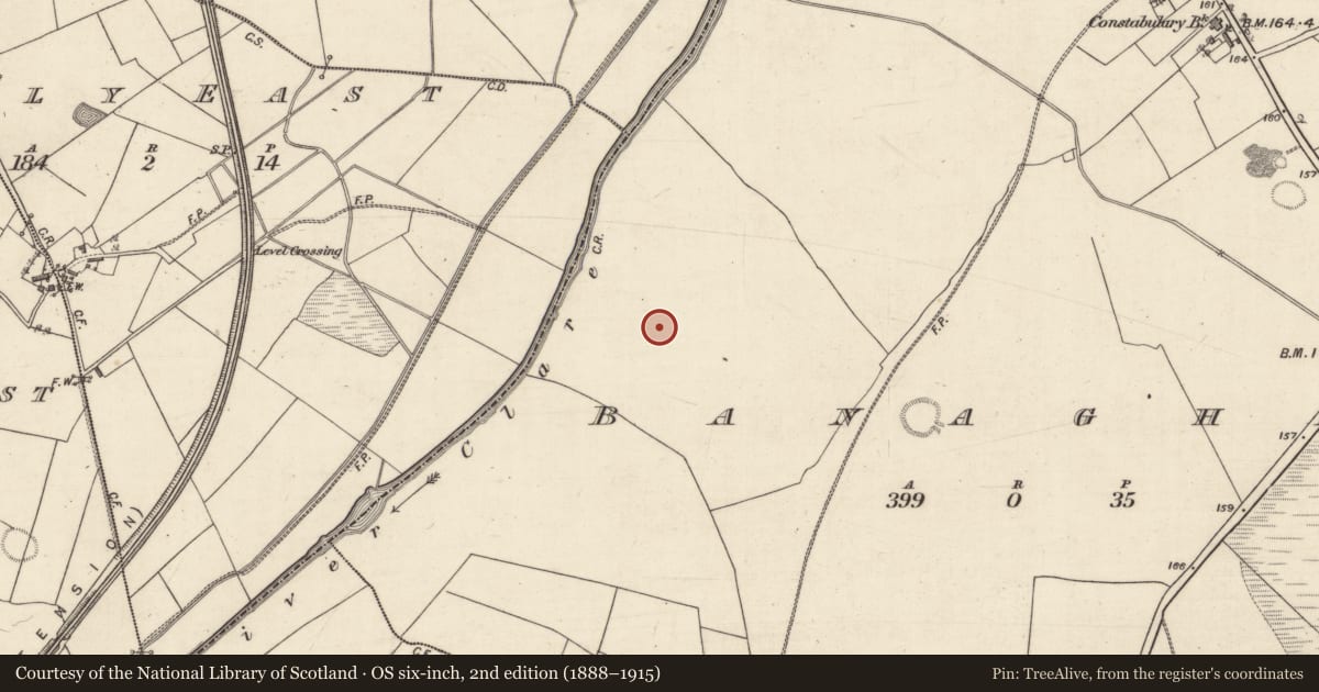 Ordnance Survey six-inch map, 2nd edition (1888–1915) covering the location of Structure, Banagher, County Galway, with a pin at the register's coordinates