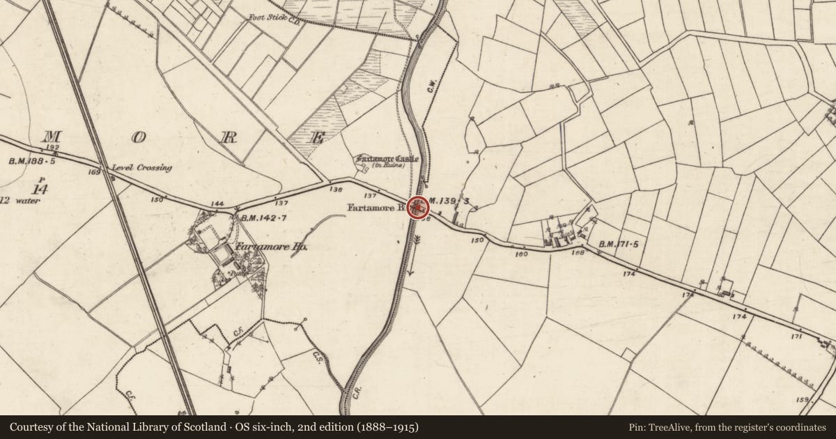 Ordnance Survey six-inch map, 2nd edition (1888–1915) covering the location of Bridge, Fartamore, Kilcreevanty, County Galway, with a pin at the register's coordinates