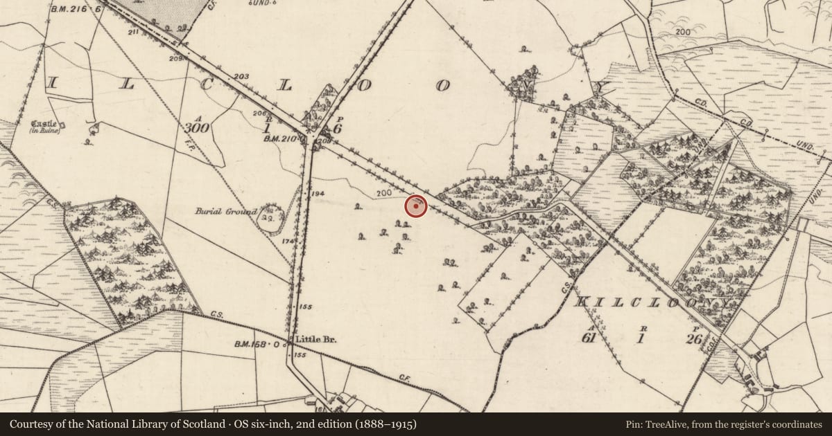 Ordnance Survey six-inch map, 2nd edition (1888–1915) covering the location of Ringfort - cashel, Kilcloony, County Galway, with a pin at the register's coordinates