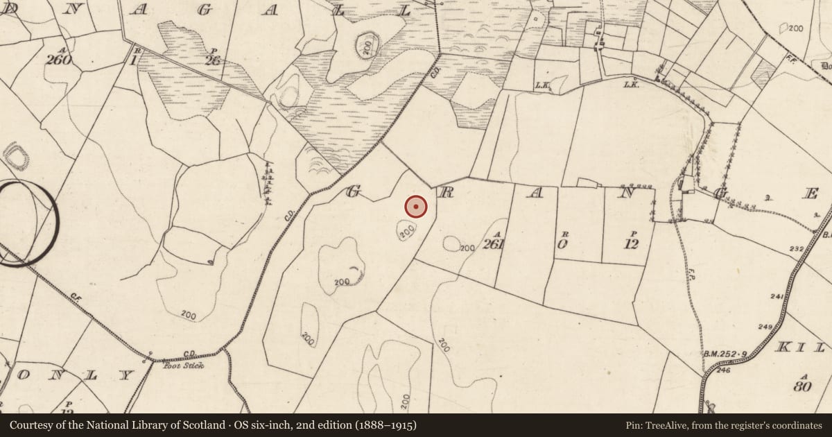 Ordnance Survey six-inch map, 2nd edition (1888–1915) covering the location of Enclosure, Grange, County Galway, with a pin at the register's coordinates