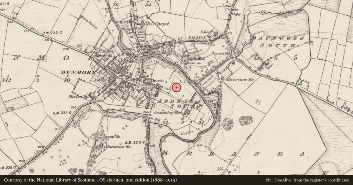 Ordnance Survey six-inch map, 2nd edition (1888–1915) covering the location of Road - hollow-way, Abbeyland South, County Galway, with a pin at the register's coordinates
