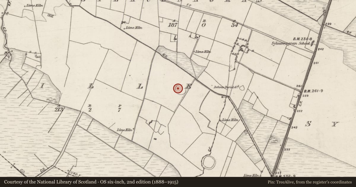 Ordnance Survey six-inch map, 2nd edition (1888–1915) covering the location of Ringfort - rath, Aille, County Galway, with a pin at the register's coordinates