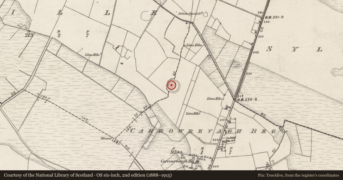 Ordnance Survey six-inch map, 2nd edition (1888–1915) covering the location of Ringfort - rath, Aille, Carrowrevagh Beg, County Galway, with a pin at the register's coordinates