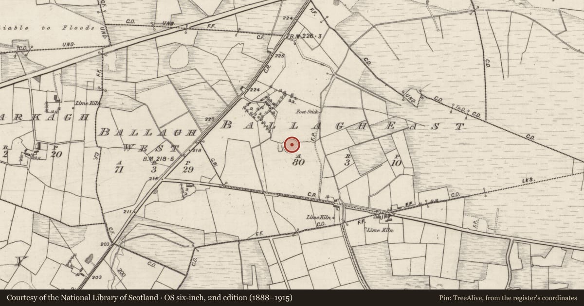 Ordnance Survey six-inch map, 2nd edition (1888–1915) covering the location of Ringfort - rath, Ballagh East, County Galway, with a pin at the register's coordinates