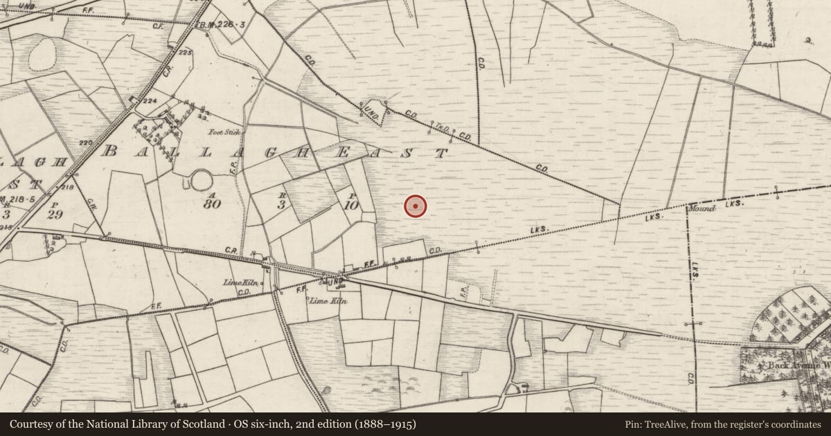 Ordnance Survey six-inch map, 2nd edition (1888–1915) covering the location of Children's burial ground, Ballagh East, County Galway, with a pin at the register's coordinates