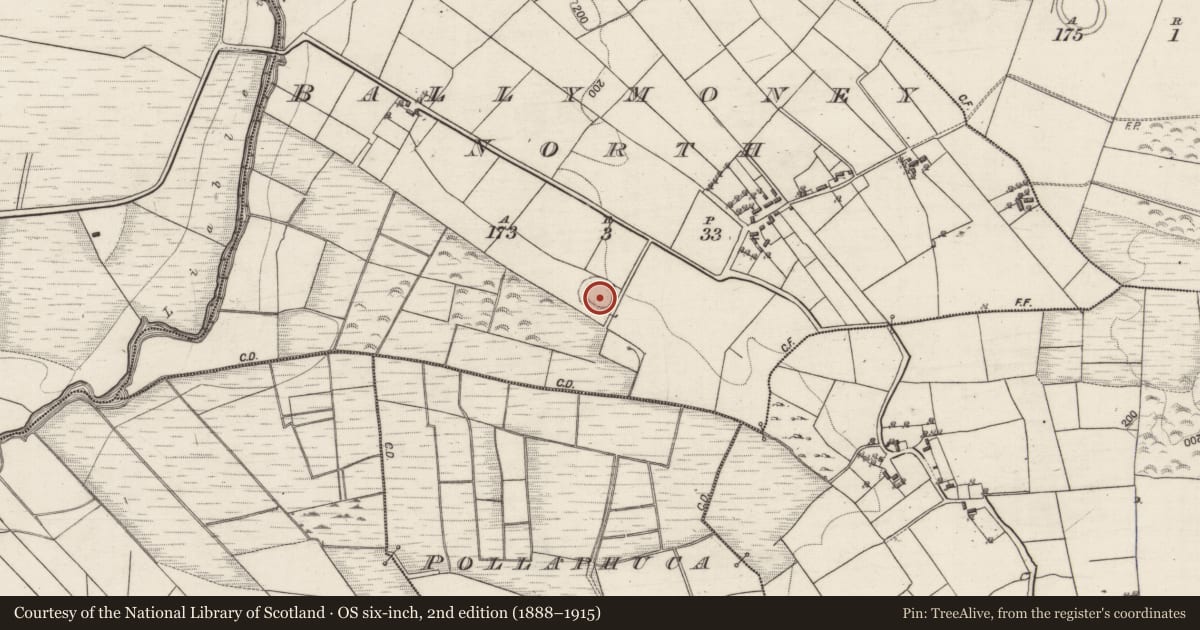 Ordnance Survey six-inch map, 2nd edition (1888–1915) covering the location of Ringfort - rath, Ballymoney North, County Galway, with a pin at the register's coordinates