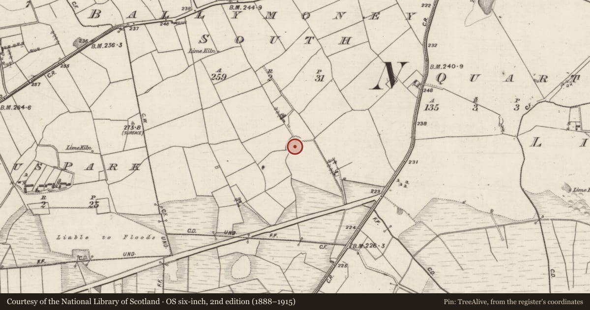 Ordnance Survey six-inch map, 2nd edition (1888–1915) covering the location of Ringfort - rath, Ballymoney South, County Galway, with a pin at the register's coordinates