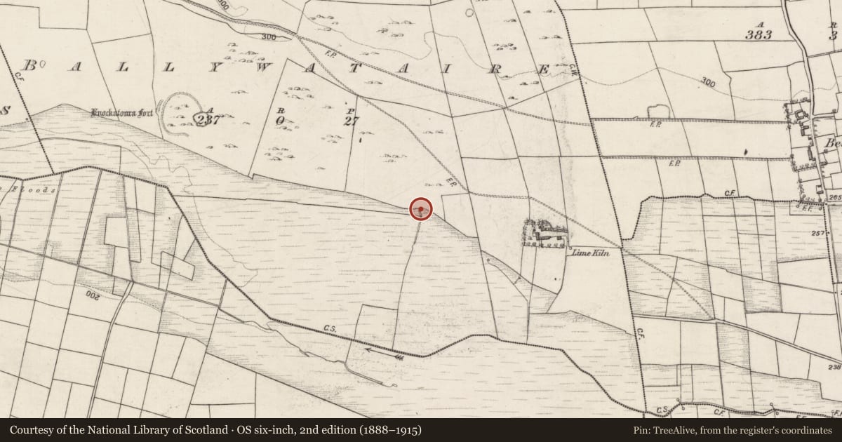 Ordnance Survey six-inch map, 2nd edition (1888–1915) covering the location of Ritual site - holy well, Ballywataire, County Galway, with a pin at the register's coordinates