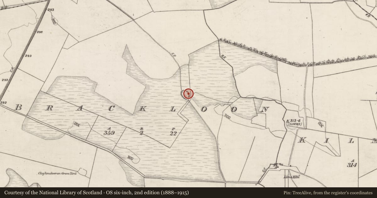 Ordnance Survey six-inch map, 2nd edition (1888–1915) covering the location of Ringfort - rath, Brackloon, County Galway, with a pin at the register's coordinates