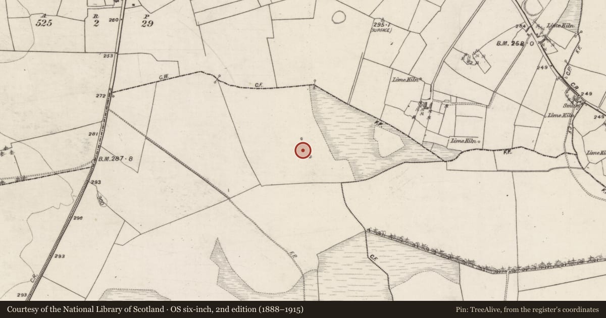 Ordnance Survey six-inch map, 2nd edition (1888–1915) covering the location of Ringfort - rath, Brackloon, County Galway, with a pin at the register's coordinates