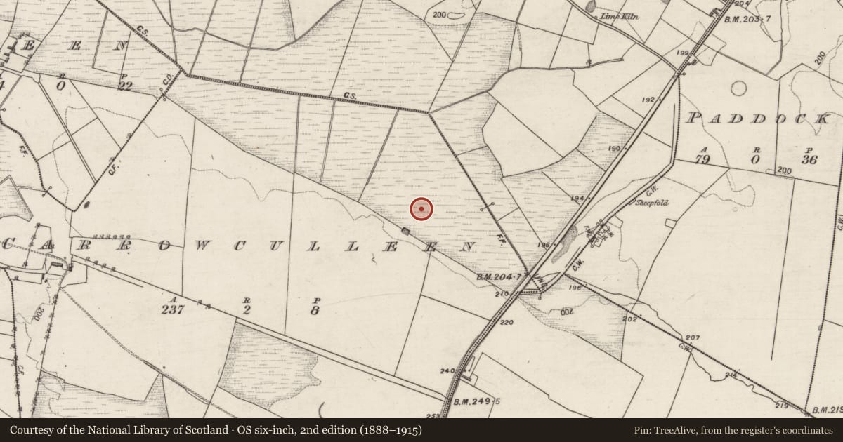 Ordnance Survey six-inch map, 2nd edition (1888–1915) covering the location of Earthwork, Carrowculleen, County Galway, with a pin at the register's coordinates
