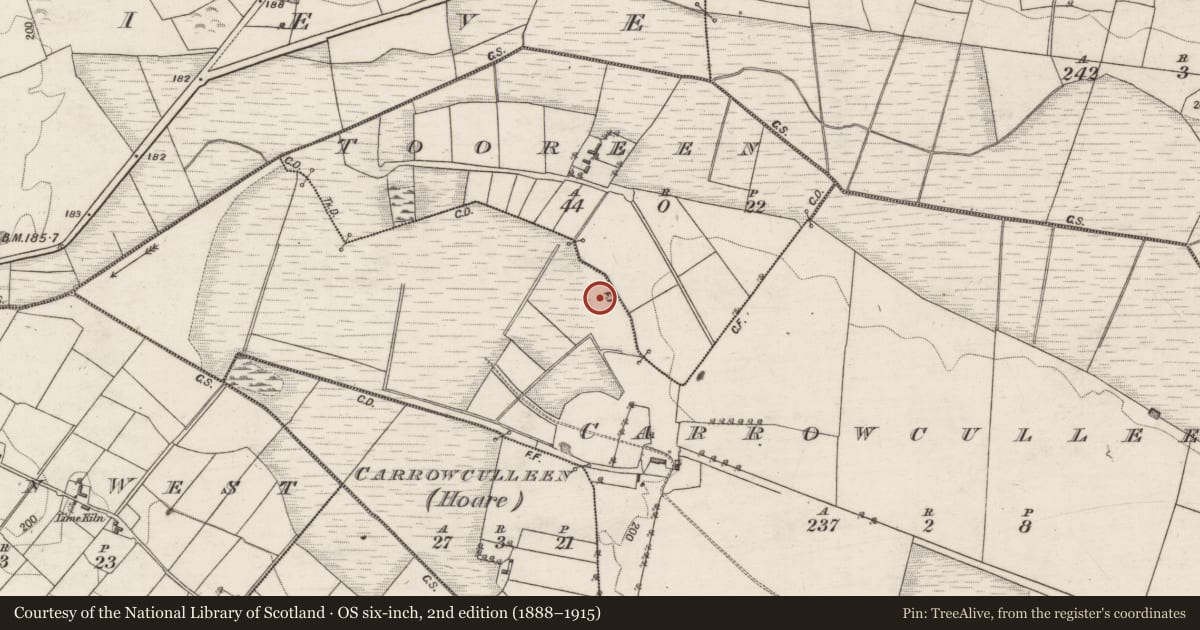 Ordnance Survey six-inch map, 2nd edition (1888–1915) covering the location of Earthwork, Carrowculleen, County Galway, with a pin at the register's coordinates
