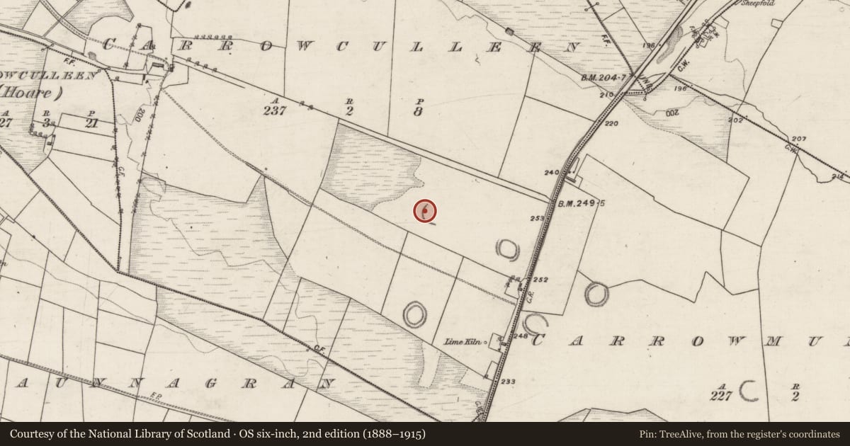 Ordnance Survey six-inch map, 2nd edition (1888–1915) covering the location of Enclosure, Carrowculleen, County Galway, with a pin at the register's coordinates