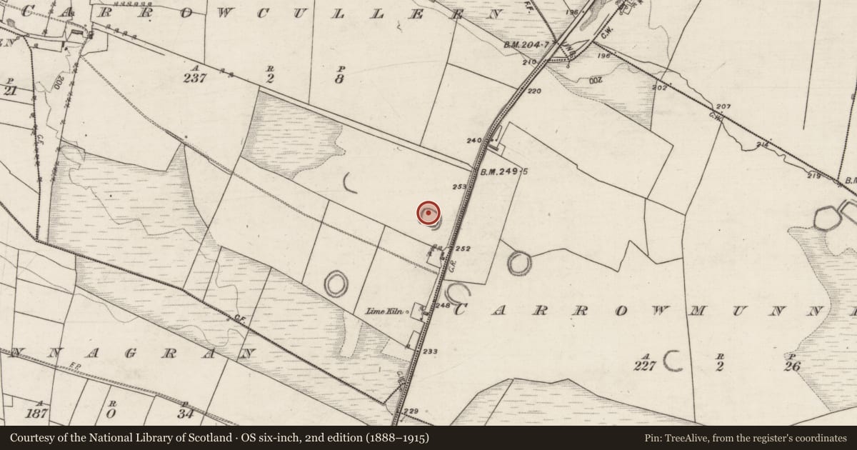 Ordnance Survey six-inch map, 2nd edition (1888–1915) covering the location of Ringfort - rath, Carrowculleen, County Galway, with a pin at the register's coordinates