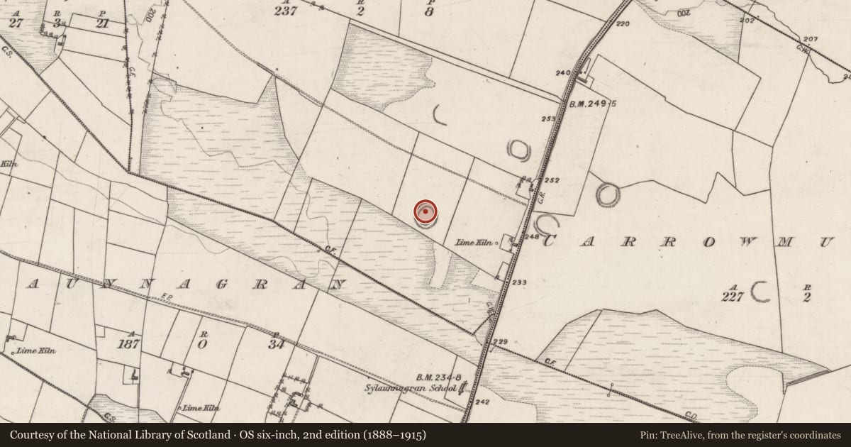 Ordnance Survey six-inch map, 2nd edition (1888–1915) covering the location of Ringfort - rath, Carrowculleen, County Galway, with a pin at the register's coordinates