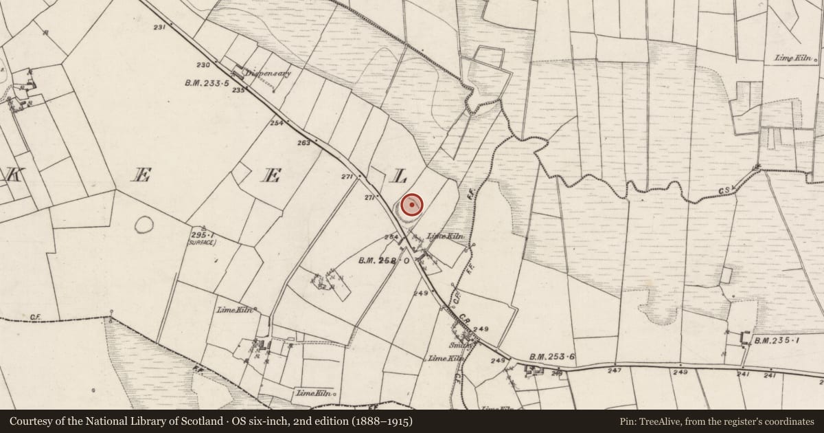 Ordnance Survey six-inch map, 2nd edition (1888–1915) covering the location of Ringfort - rath, Carrowkeel, County Galway, with a pin at the register's coordinates