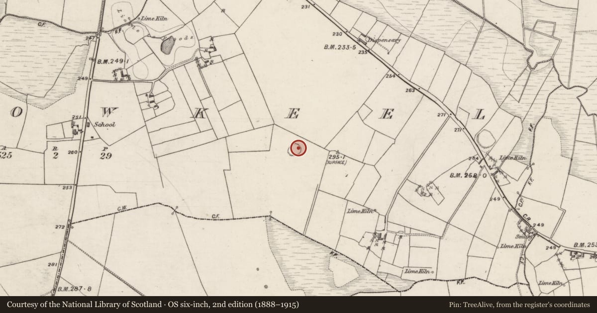 Ordnance Survey six-inch map, 2nd edition (1888–1915) covering the location of Ringfort - rath, Carrowkeel, County Galway, with a pin at the register's coordinates