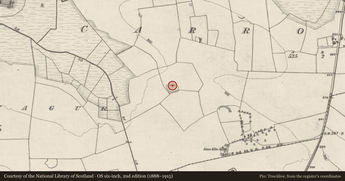 Ordnance Survey six-inch map, 2nd edition (1888–1915) covering the location of Ringfort - rath, Carrowkeel, County Galway, with a pin at the register's coordinates