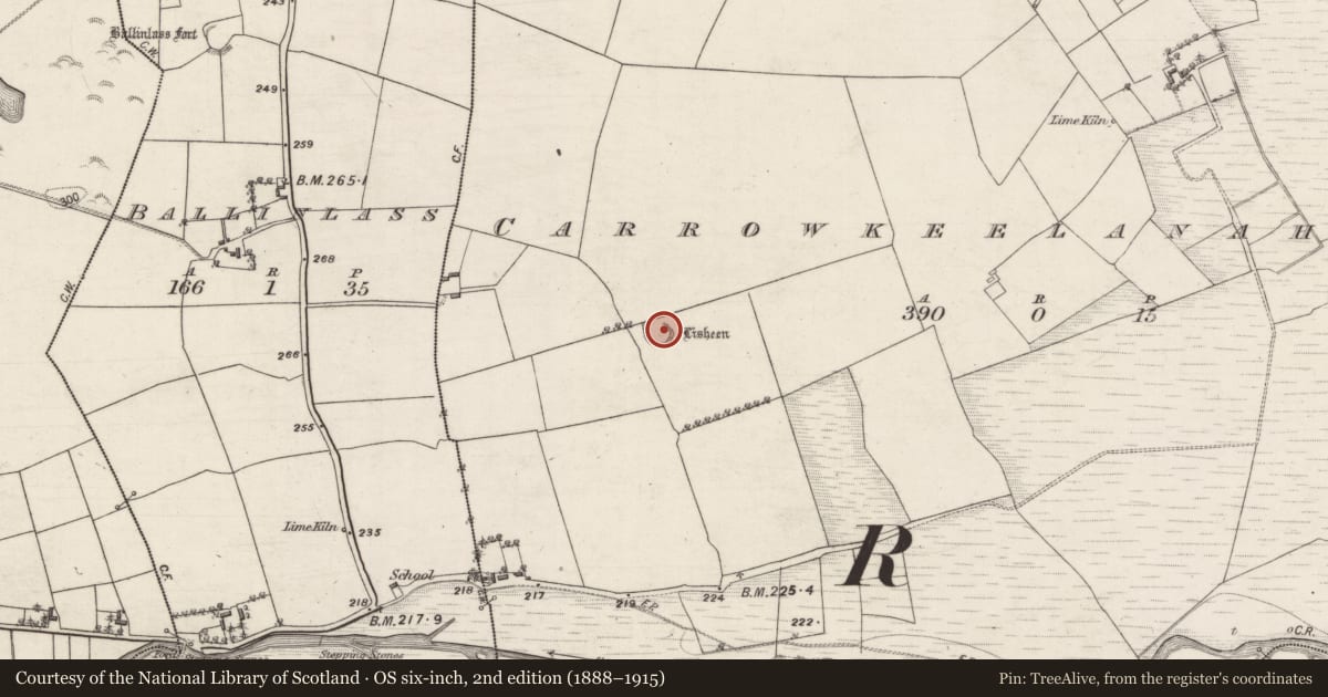 Ordnance Survey six-inch map, 2nd edition (1888–1915) covering the location of Ringfort - rath, Carrowkeelanahglass, County Galway, with a pin at the register's coordinates