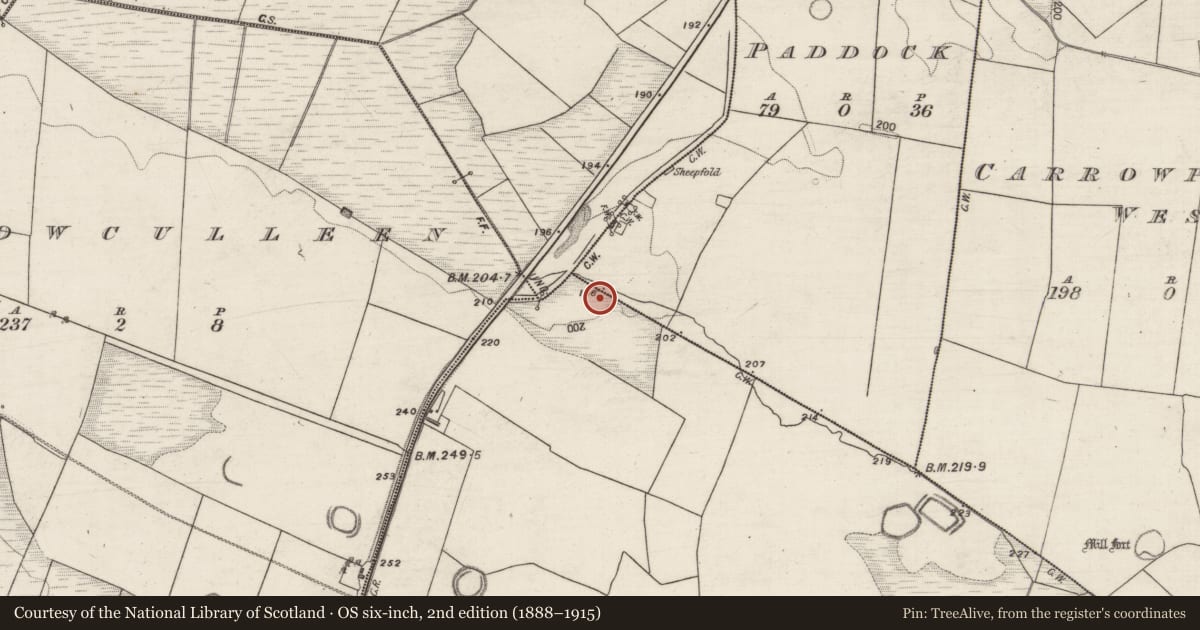 Ordnance Survey six-inch map, 2nd edition (1888–1915) covering the location of Earthwork, Carrowmunniagh, County Galway, with a pin at the register's coordinates