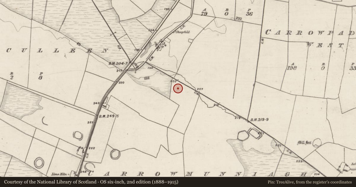 Ordnance Survey six-inch map, 2nd edition (1888–1915) covering the location of Earthwork, Carrowmunniagh, County Galway, with a pin at the register's coordinates