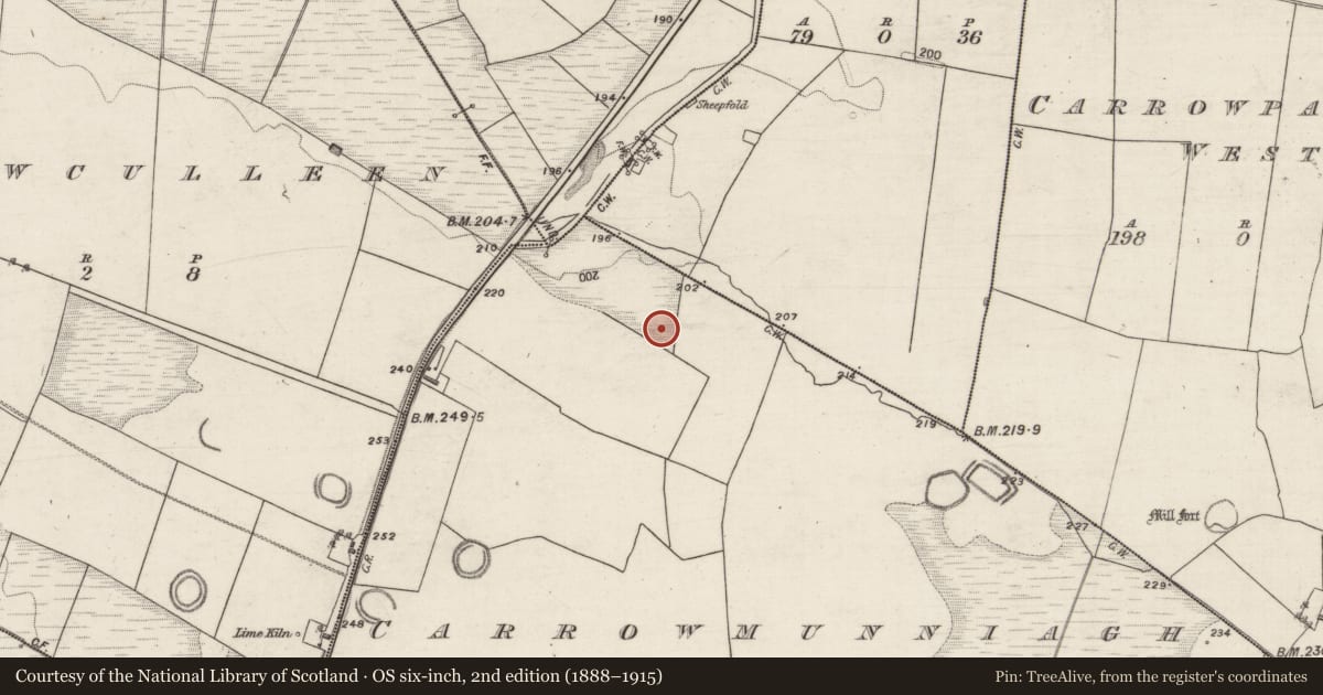 Ordnance Survey six-inch map, 2nd edition (1888–1915) covering the location of Earthwork, Carrowmunniagh, County Galway, with a pin at the register's coordinates