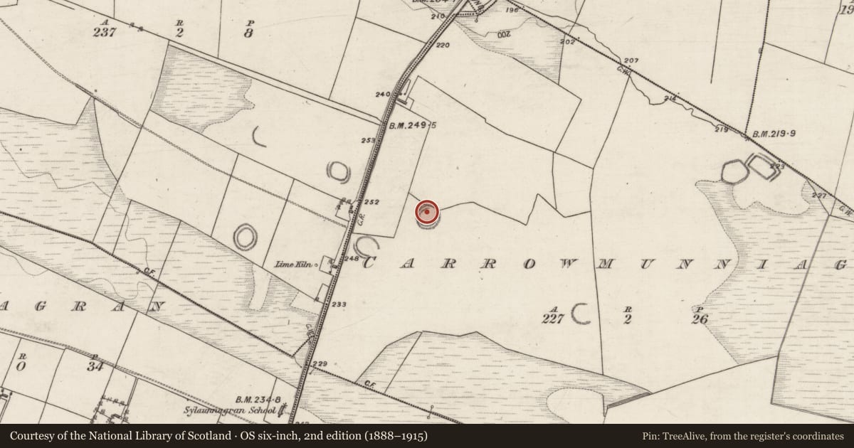Ordnance Survey six-inch map, 2nd edition (1888–1915) covering the location of Ringfort - rath, Carrowmunniagh, County Galway, with a pin at the register's coordinates