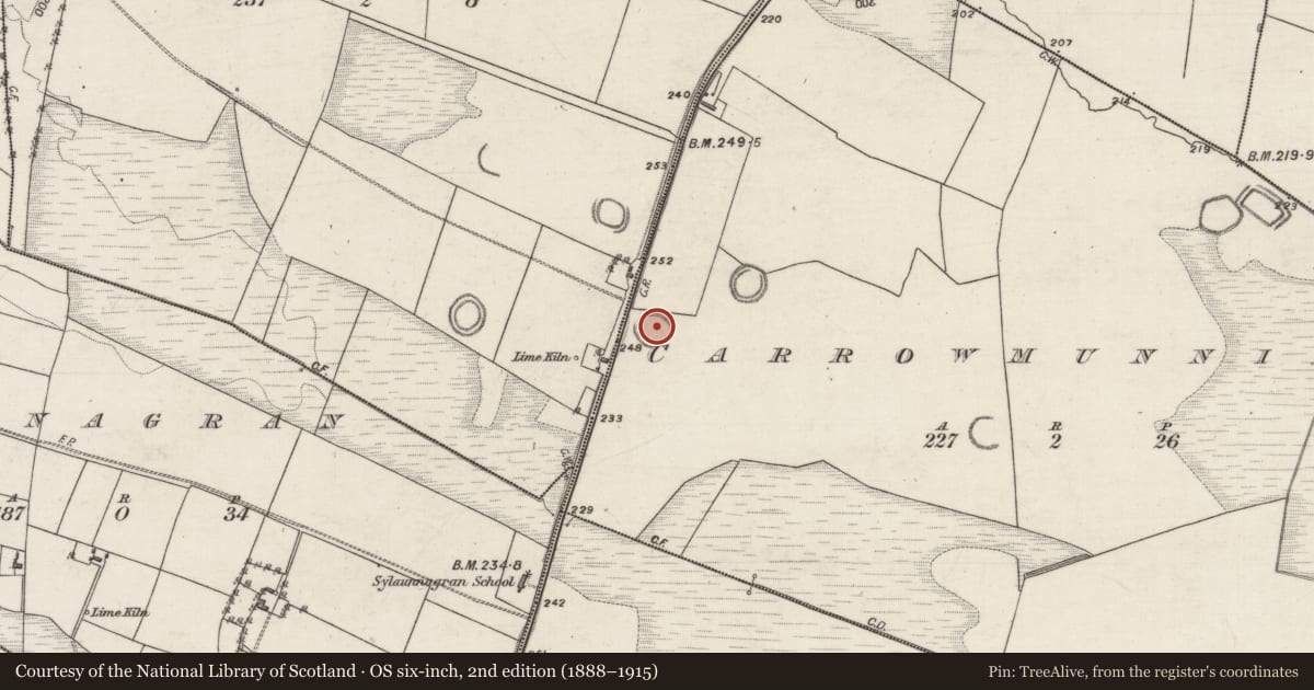 Ordnance Survey six-inch map, 2nd edition (1888–1915) covering the location of Ringfort - rath, Carrowmunniagh, County Galway, with a pin at the register's coordinates