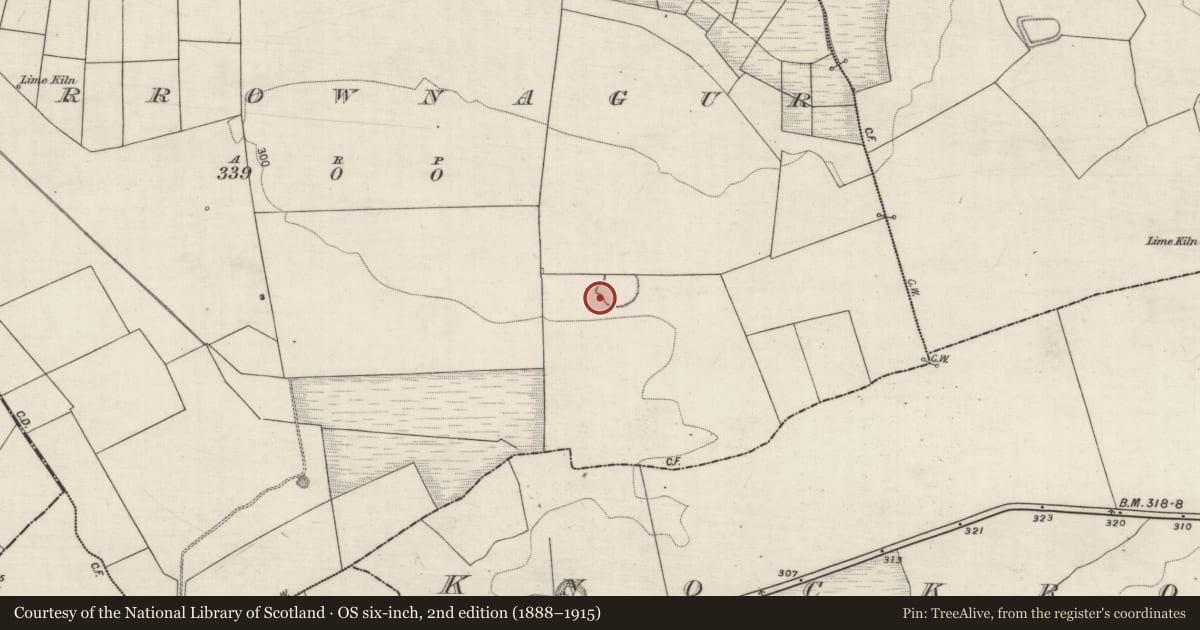 Ordnance Survey six-inch map, 2nd edition (1888–1915) covering the location of Ringfort - rath, Carrownagur, County Galway, with a pin at the register's coordinates