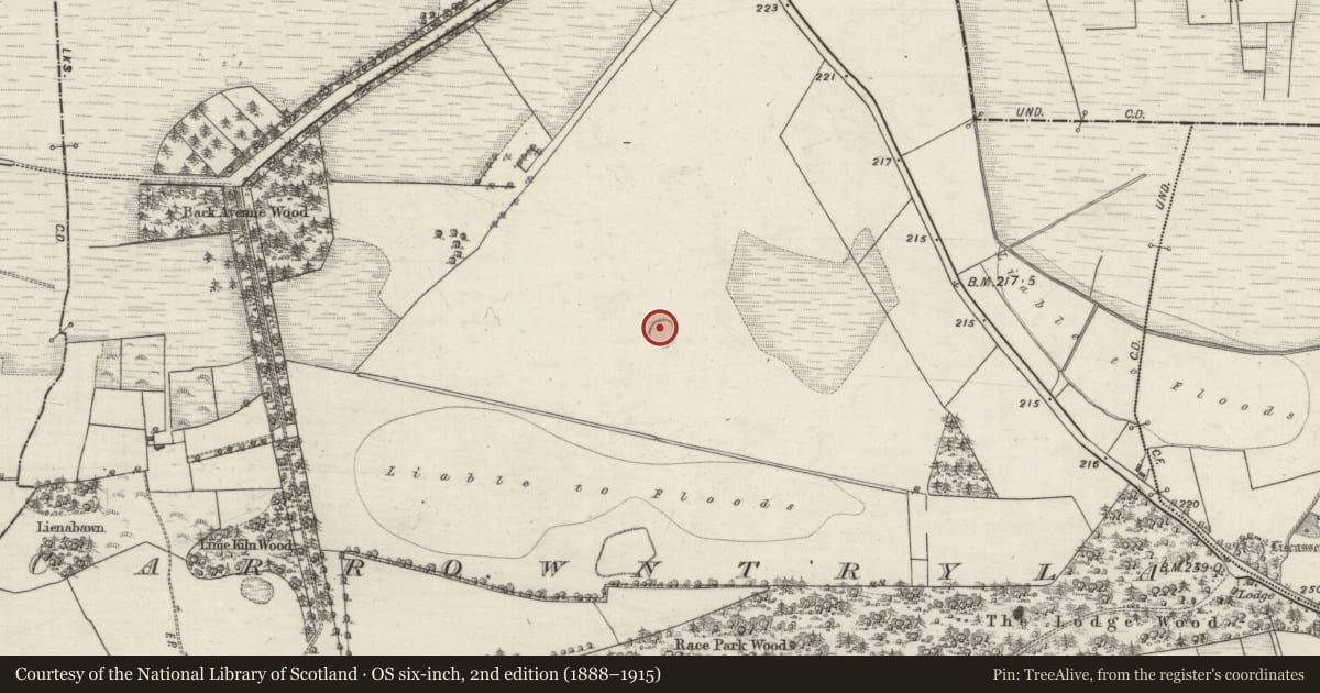 Ordnance Survey six-inch map, 2nd edition (1888–1915) covering the location of Ringfort - rath, Carrowntryla, County Galway, with a pin at the register's coordinates