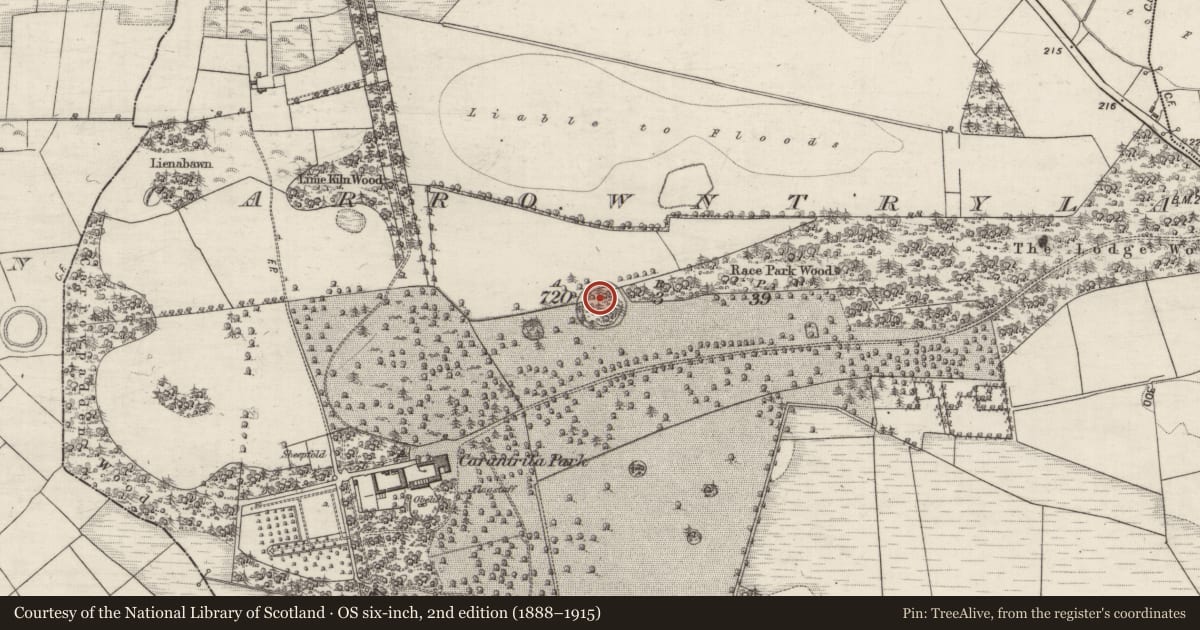 Ordnance Survey six-inch map, 2nd edition (1888–1915) covering the location of Ringfort - rath, Carrowntryla, County Galway, with a pin at the register's coordinates